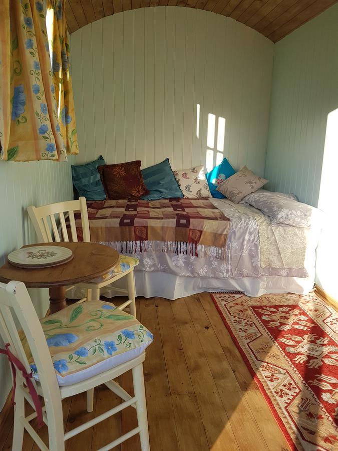 Shepherds Hut Dolly Wagon Keswick  Eksteriør bilde